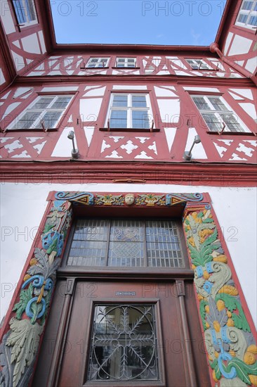 House door with frame