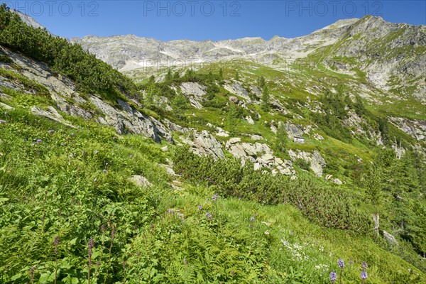 Hiking in the Hohe Tauern National Park