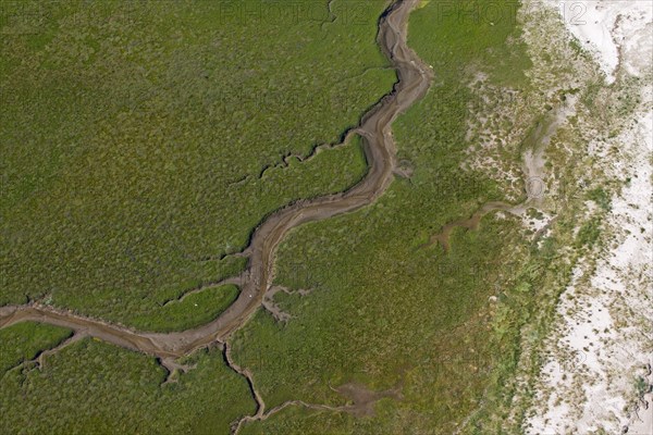 Aerial view over saltmarsh at low tide