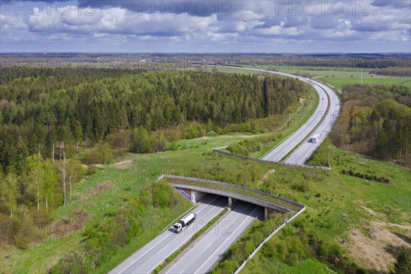 Aerial view over wildlife crossing