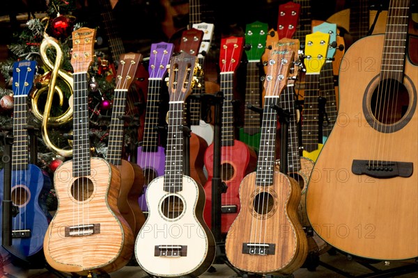 Set of Colorful classical guitar models in view