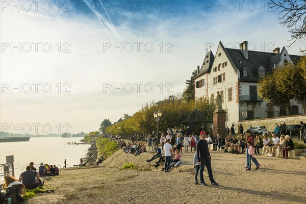 Riverbank promenade on the Rhine, Eltville, Rhine, Rheingau, Hesse, Germany, Europe