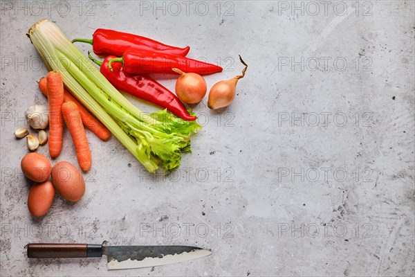 Overhead view of fresh raw ingredients for vegetable ragout