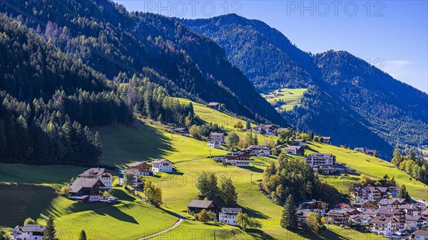Sunny meadow slope in Ortisei, Val Gardena, Dolomites, South Tyrol, Italy, Europe