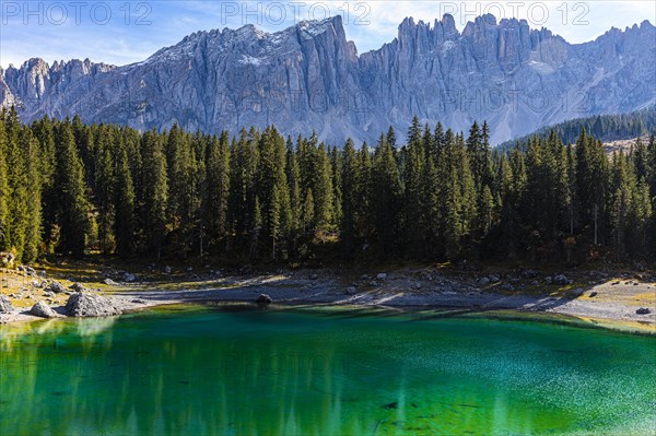 Emerald green Lake Carezza, behind a spruce forest and the peaks of the Latemar, Dolomites, South Tyrol, Italy, Europe