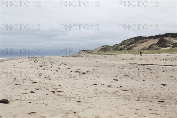 Coastal Landscape, Meadow Beach, Cape Cod, Atlantic Sea, Massachusetts, USA, North America