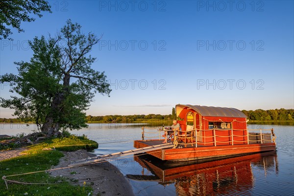 Man sitting on a houseboat, house raft, in front of the island Kiehnwerder, Breitlingsee, Brandenburg an der Havel, Havelland, Brandenburg, Germany, Europe