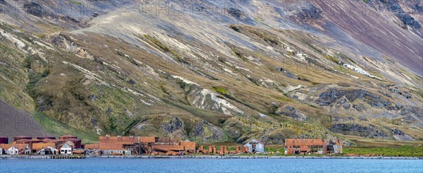 Mountain Landscape South Georgia with Whaling Station Stromness Bay Panorama