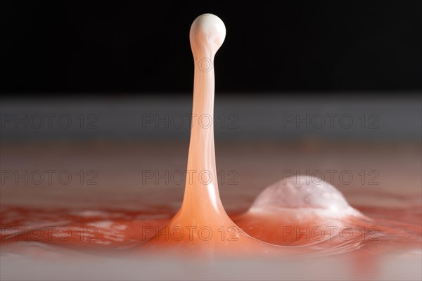 Macro Photography Water Drops