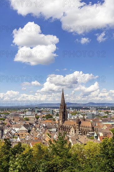 City view with cathedral, Freiburg im Breisgau, Baden-Wuerttemberg, Germany, Europe