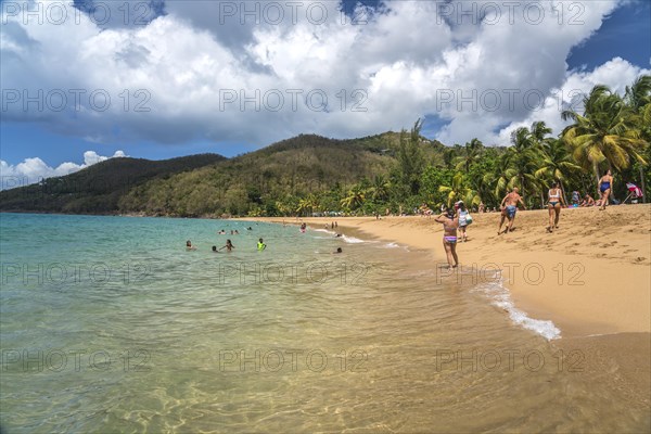 At the beach Plage de Grande Anse near Deshaies in the north of Basse-Terre, Guadeloupe, France, North America