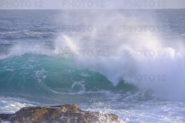 Surf, strong ocean waves, coast at Tsitsikamma National Park, Garden Route, Eastern Cape, South Africa, Africa