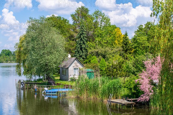 View from the Wublitz Bridge of a garden with a summer house and the Wublitz, a tributary of the Havel, Golm, Potsdam, Brandenburg, Germany, Europe