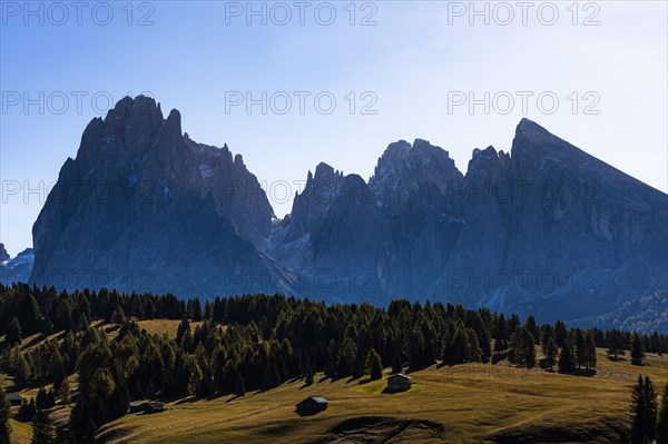 Autumnal alpine meadows and alpine huts on the Alpe di Siusi, behind the peaks of the Sassolungo group, Val Gardena, Dolomites, South Tyrol, Italy, Europe