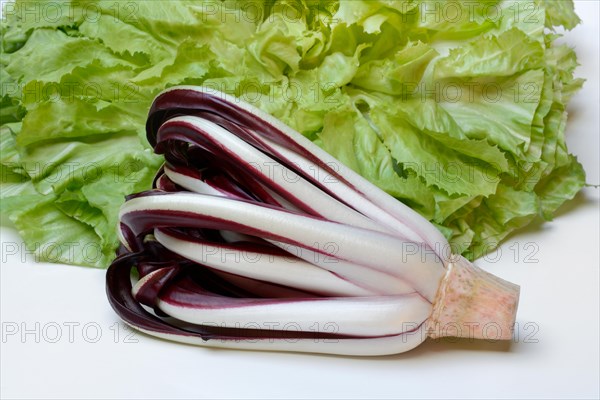 Radicchio in front of endive, Cicorino rosso Tardivo