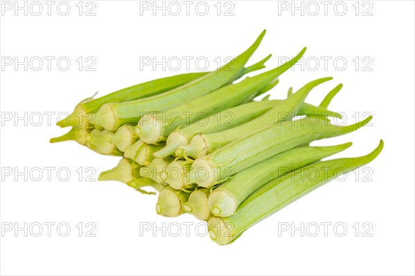 Fresh green okra