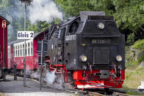 Steam train, Brockenbahn, narrow-gauge railway, Brocken, Harz, Saxony-Anhalt, Germany, Europe