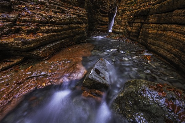 The Taugl in the Davidgraben, Red Canyon, Tennegau, Salzburger Land, Austria, Europe