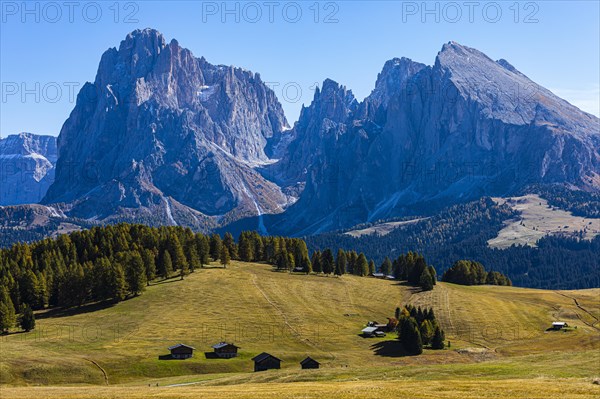 Autumnal alpine meadows and alpine hut on the Alpe di Siusi, behind the peaks of the Sassolungo group, Val Gardena, Dolomites, South Tyrol, Italy, Europe