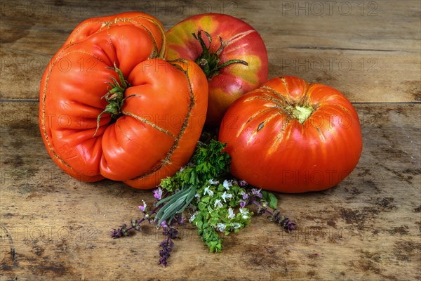 Ancient tomatoes variety and aromatic herbs on old wooden background in a kitchen.Alsace, France, Europe