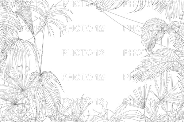 Line art vector sketch of a tropical forest