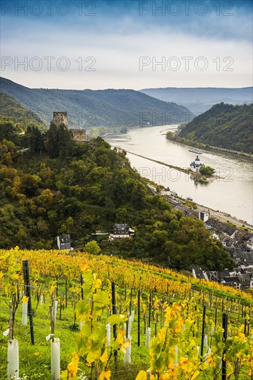 Gutenfels Castle and Pfalzgrafenstein Castle, Kaub, Upper Middle Rhine Valley, UNESCO World Heritage Site, Rhineland-Palatinate, Germany, Europe