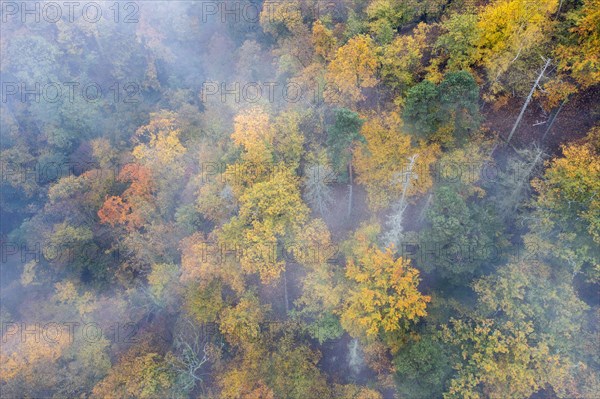 Foggy atmosphere, autumnal forest, aerial view, Thayatal, Hardegg, Lower Austria, Austria, Europe