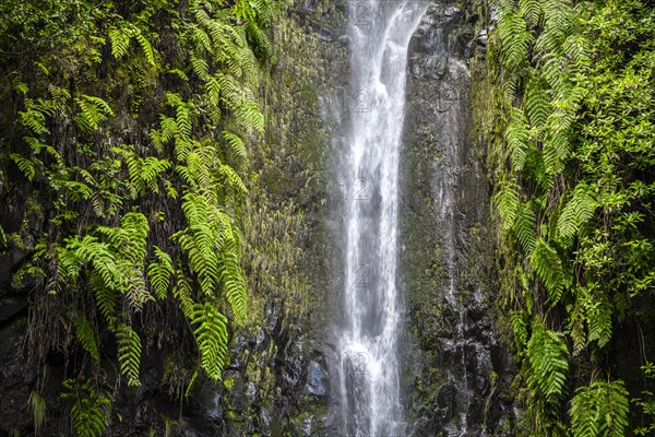 River and waterfall Cascata das 25 Fontes, long exposure, Rabacal, Paul da Serra, Madeira, Portugal, Europe