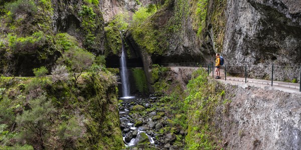 Levada do Moinho, Waterfall in a gorge, Ponta do Sol, Madeira, Portugal, Europe