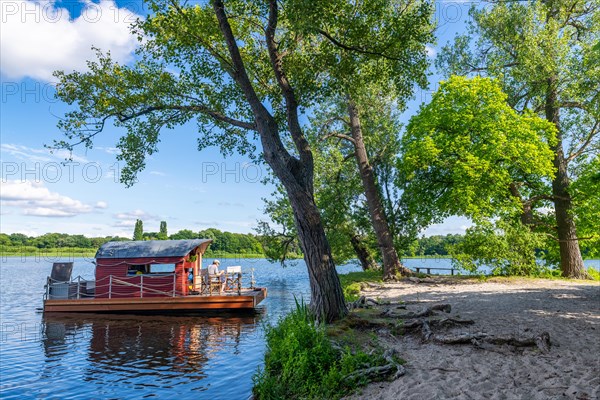 Man sitting on a houseboat, house raft, in front of the island Kiehnwerder, Breitlingsee, Brandenburg an der Havel, Havelland, Brandenburg, Germany, Europe