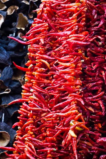 Dried peppers and aubergines and colourful spices in the Spice Market