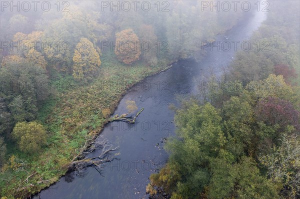 Foggy atmosphere, River Thaya in autumn, National Park Thayatal, Hardegg, Lower Austria, Austria, Europe