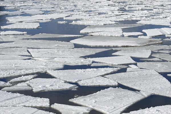 Floating ice sheets, Chateauguay River, Province of Quebec, Canada, North America