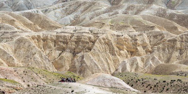 Hiking group in the Zin desert near Sde Boker, Negev, Israel, Asia