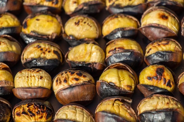 Raw fresh sweet chestnut for ready for sale