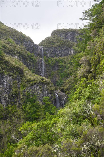 Waterfall, Green Forest and Mountains of Rabacal, Paul da Serra, Madeira, Portugal, Europe