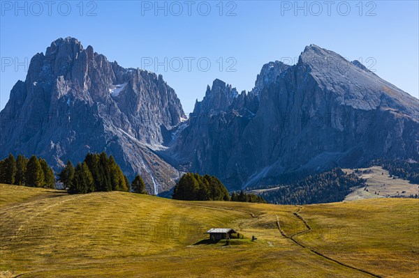 Autumnal alpine meadows and alpine hut on the Alpe di Siusi, behind the peaks of the Sassolungo group, Val Gardena, Dolomites, South Tyrol, Italy, Europe