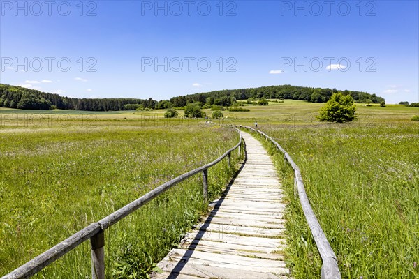 Schopflocher Torfmoor, the only larger raised bog in the Swabian Alb, threshold path through the nature reserve, Lenningen, Baden-Wuerttemberg, Germany, Europe