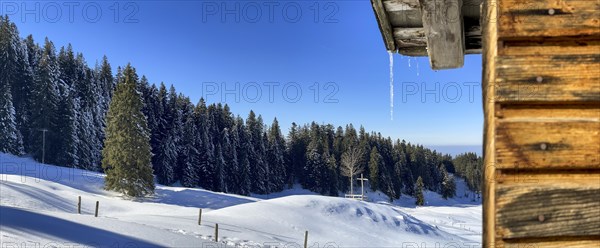 Icicles and melting snow, wayside cross, hut facade, Bonere, Lucerne, Switzerland, Europe