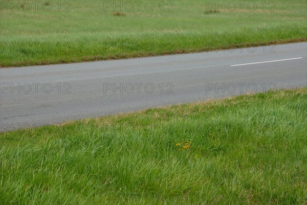 Road in France