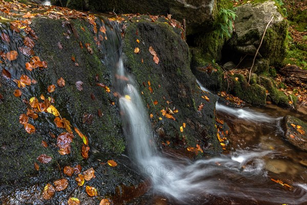 Waterfall falling over Mossy Rocks in the Vosges Mountains. Alsace, France, Europe