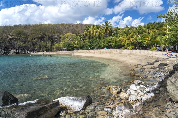 The beach Plage de Petite Anse near Deshaies, Basse-Terre, Guadeloupe, France, North America