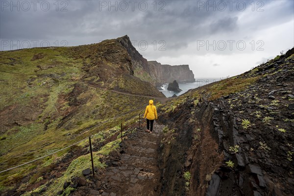 Hiker, coastal landscape, cliffs and sea, rugged coast with rock formations, Cape Ponta de Sao Lourenco, Madeira, Portugal, Europe