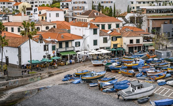 Fishing boats and houses, Camara de Lobos, Madeira, Portugal, Europe