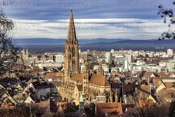 City view with cathedral, Freiburg im Breisgau, Baden-Wuerttemberg, Germany, Europe