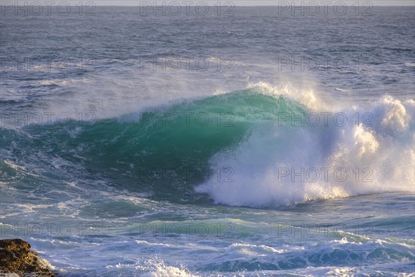 Surf, strong ocean waves, coast at Tsitsikamma National Park, Garden Route, Eastern Cape, South Africa, Africa