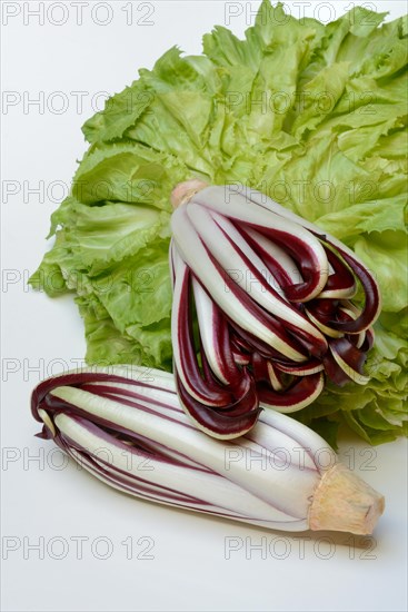 Radicchio in front of endive, Cicorino rosso Tardivo