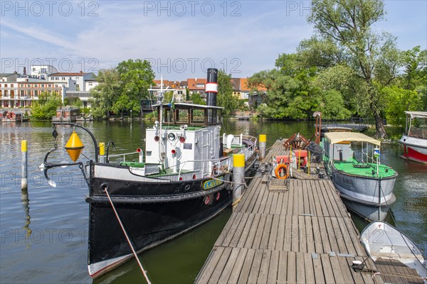 Ships of the Wiemann shipyard, historic harbour, Brandenburg an der Havel, Brandenburg, Germany, Europe