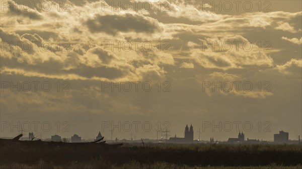 Silhouette of the city of Magdeburg, millennium tower, cathedral, monastery of Our Lady, St. John's Church, evening sun, Magdeburg, Saxony-Anhalt, Germany, Europe