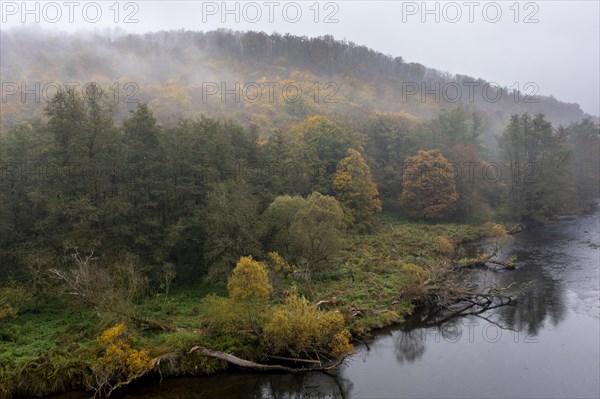 Foggy atmosphere, River Thaya in autumn, National Park Thayatal, Hardegg, Lower Austria, Austria, Europe